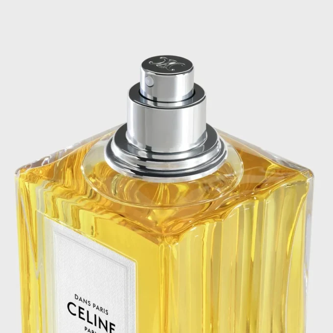 Dans Paris Eau De Parfum 100 ml Dans Paris Eau De Parfum 100 ml